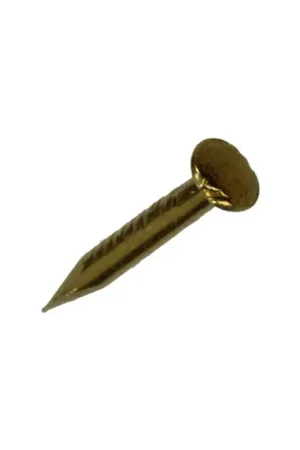 Actieprijs Mack Nagel Bolle Kop 20 gram 1,0 x 10 mm